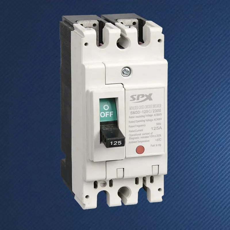 2P 125A เซอร์กิตเบรกเกอร์แบบขึ้นรูป